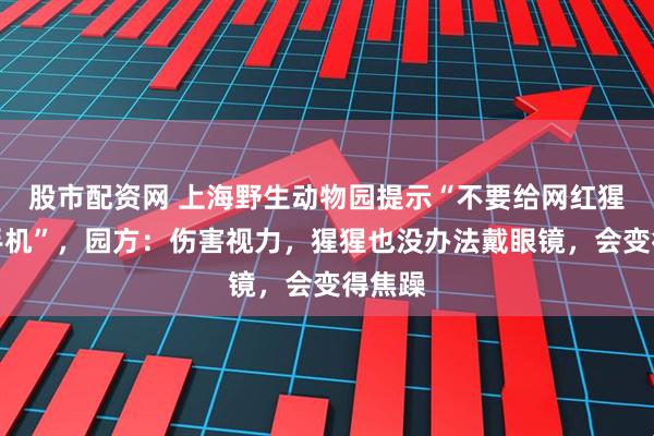 股市配资网 上海野生动物园提示“不要给网红猩猩看手机”，园方：伤害视力，猩猩也没办法戴眼镜，会变得焦躁